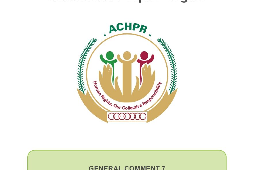 ACHPR General Comment 7: State obligations under the African Charter on Human and Peoples’ Rights in the context of private provision of social services